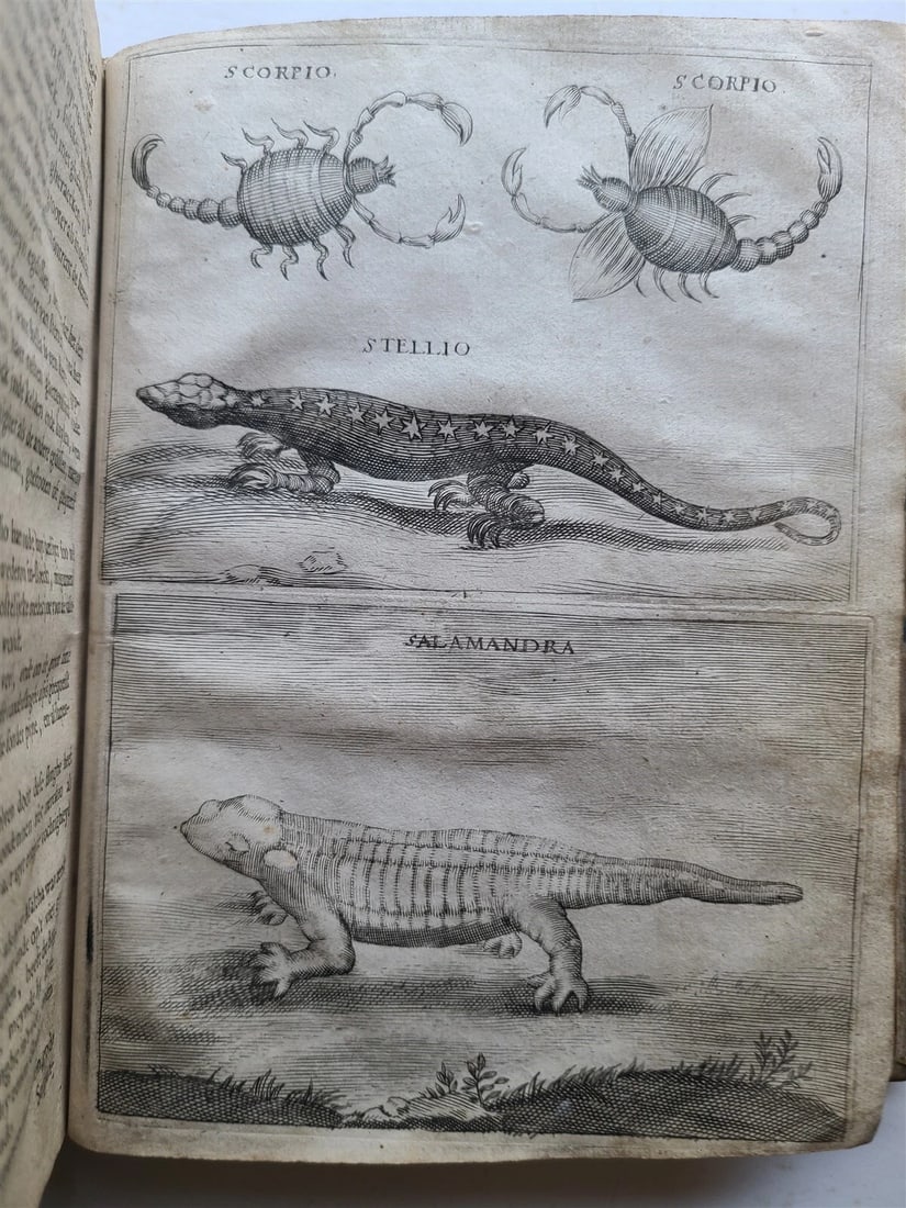 1673 HOLY LAND VOYAGE by Anthonius Gonsales ANTIQUE in Dutch ILLUSTRATED rare - 5