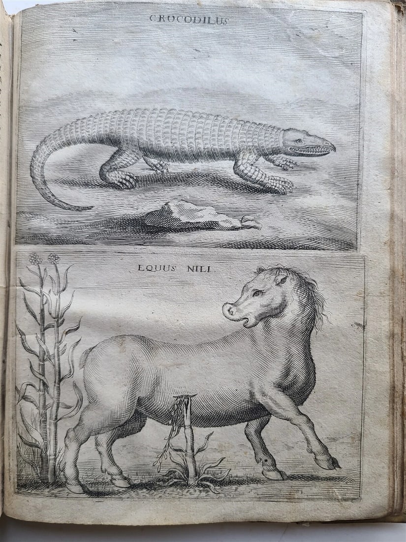 1673 HOLY LAND VOYAGE by Anthonius Gonsales ANTIQUE in Dutch ILLUSTRATED rare - 6