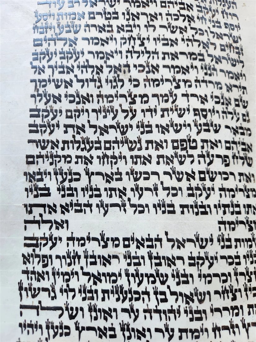 TORAH SCROLL FRAGMENT MANUSCRIPT on VELLUM antique BIBLE GENESIS 44:30-48:5 - 7