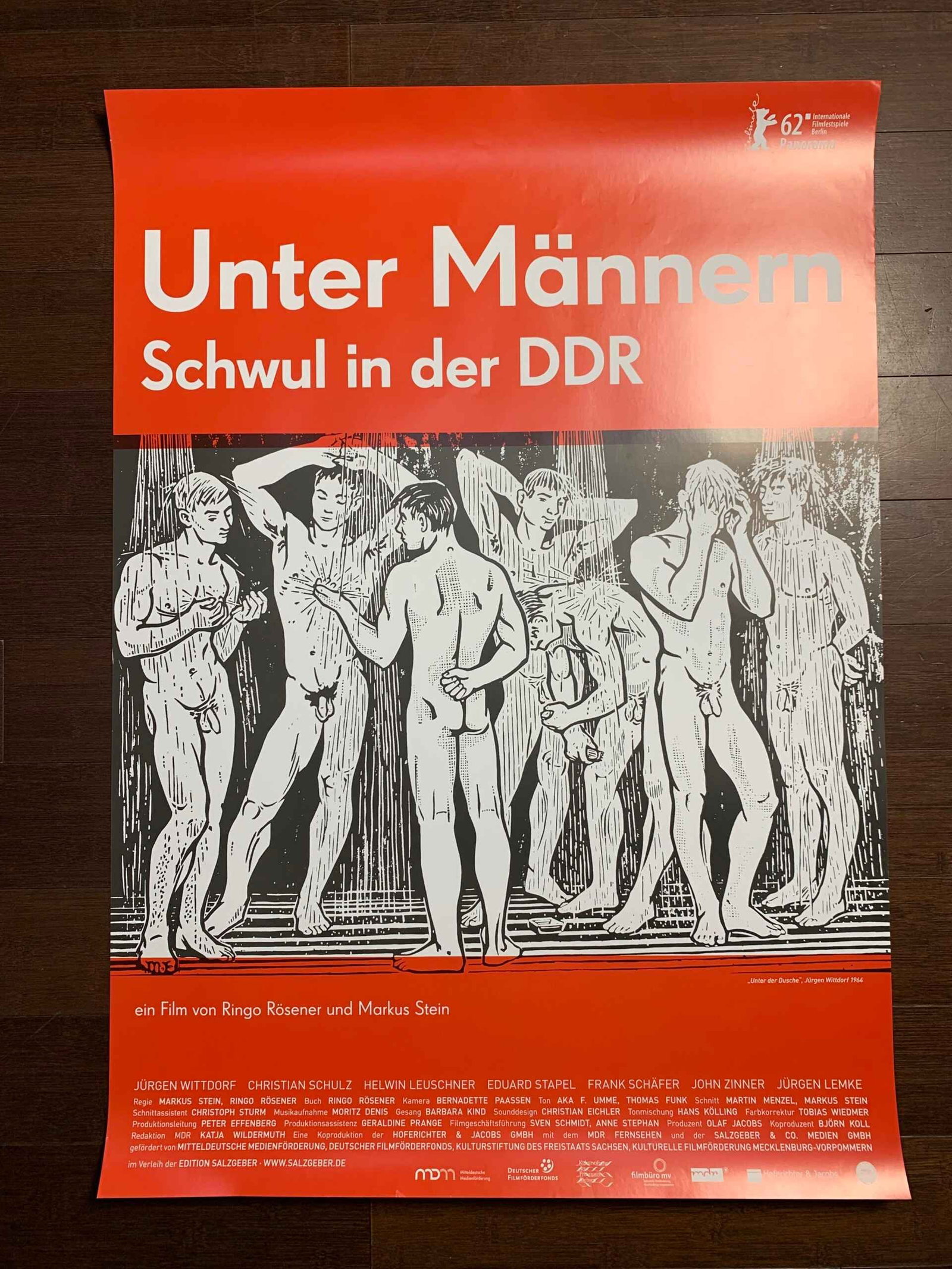Bulk Lot of 23 (2017) 23.5x33 German LGBQT Advertising Posters - 2