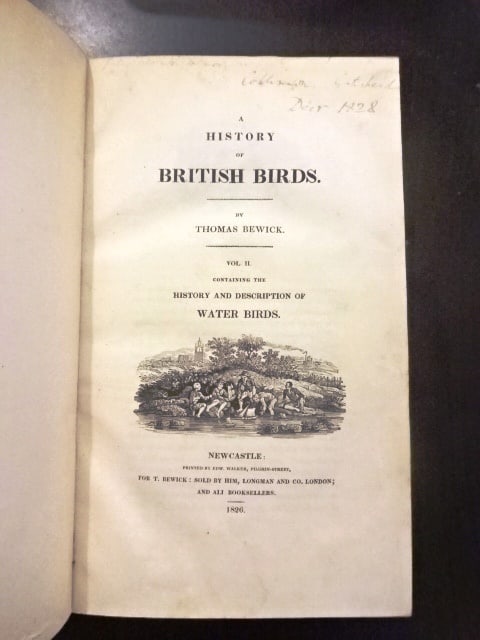 1804 Bewick History of British Birds - 3