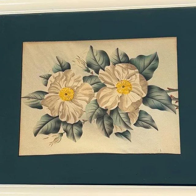 Mid Century White Camellia Botanical Floral Lithograph Print in Original Frame - 3