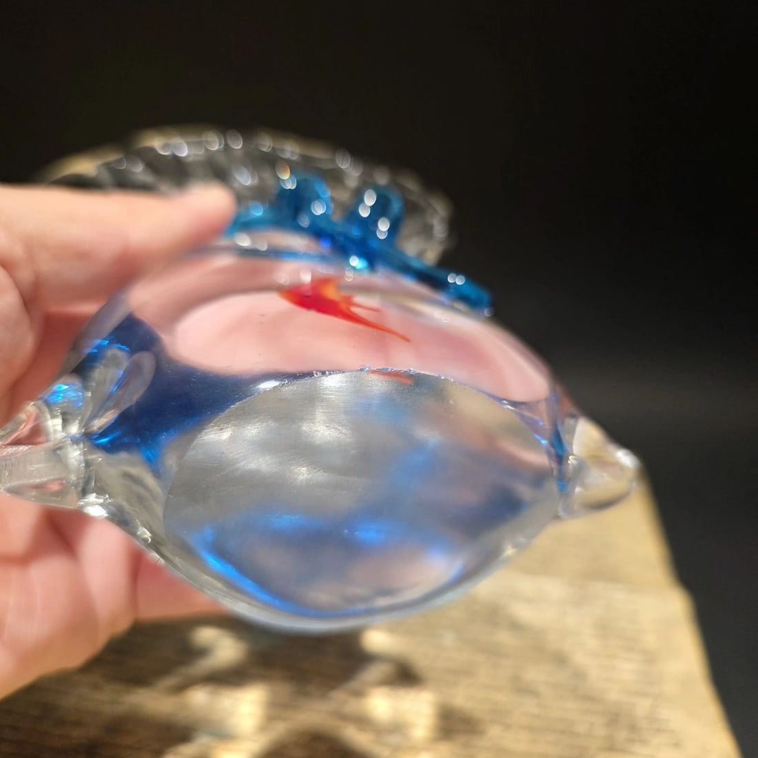 Aquarium Art Glass Fish Sea Life Paperweight - 7