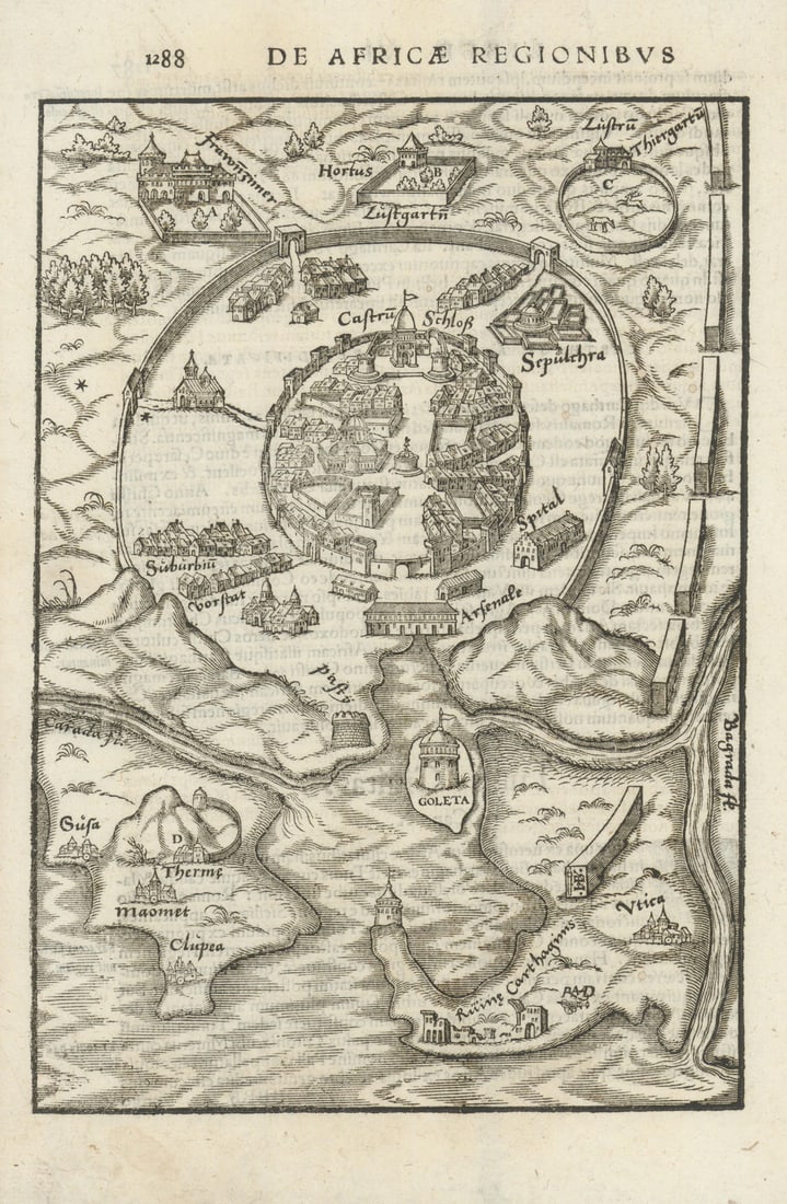 Tunis civitas. De Africa Regionibus. City of Tunis, Tunisia. MÜNSTER 1572 map: Title: Tunis civitas. De Africa Regionibus. City of Tunis, Tunisia. MÜNSTER 1572 map Description: [Tunis civitas] De Africa Regionibus [The city of Tunis]. The map is orientated towards the South