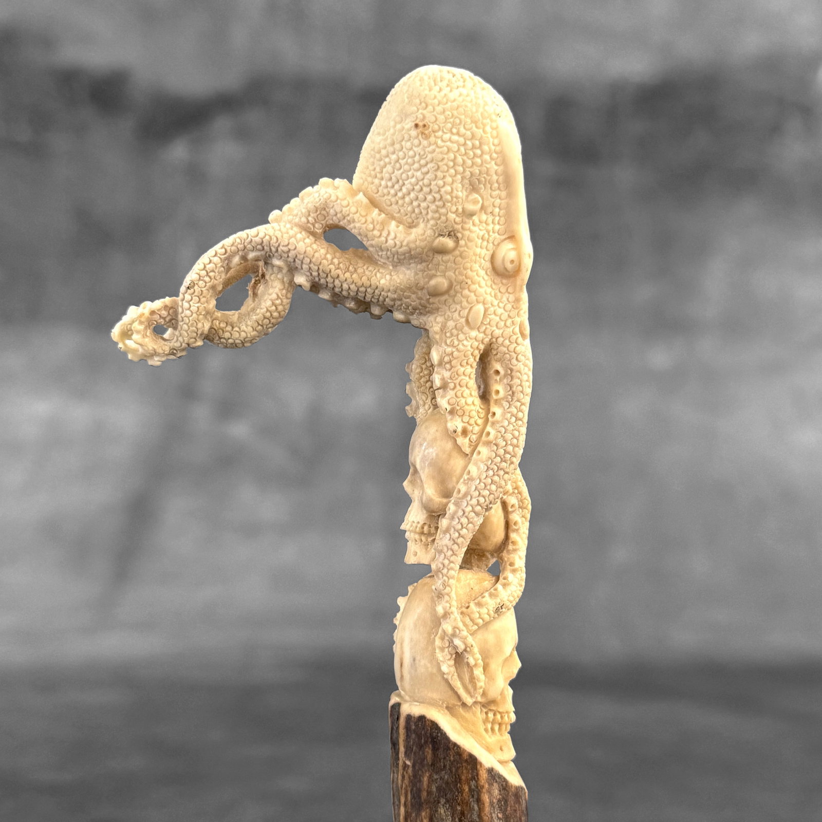 Stunning carved part of deer antler - Skull with an octopus - 2