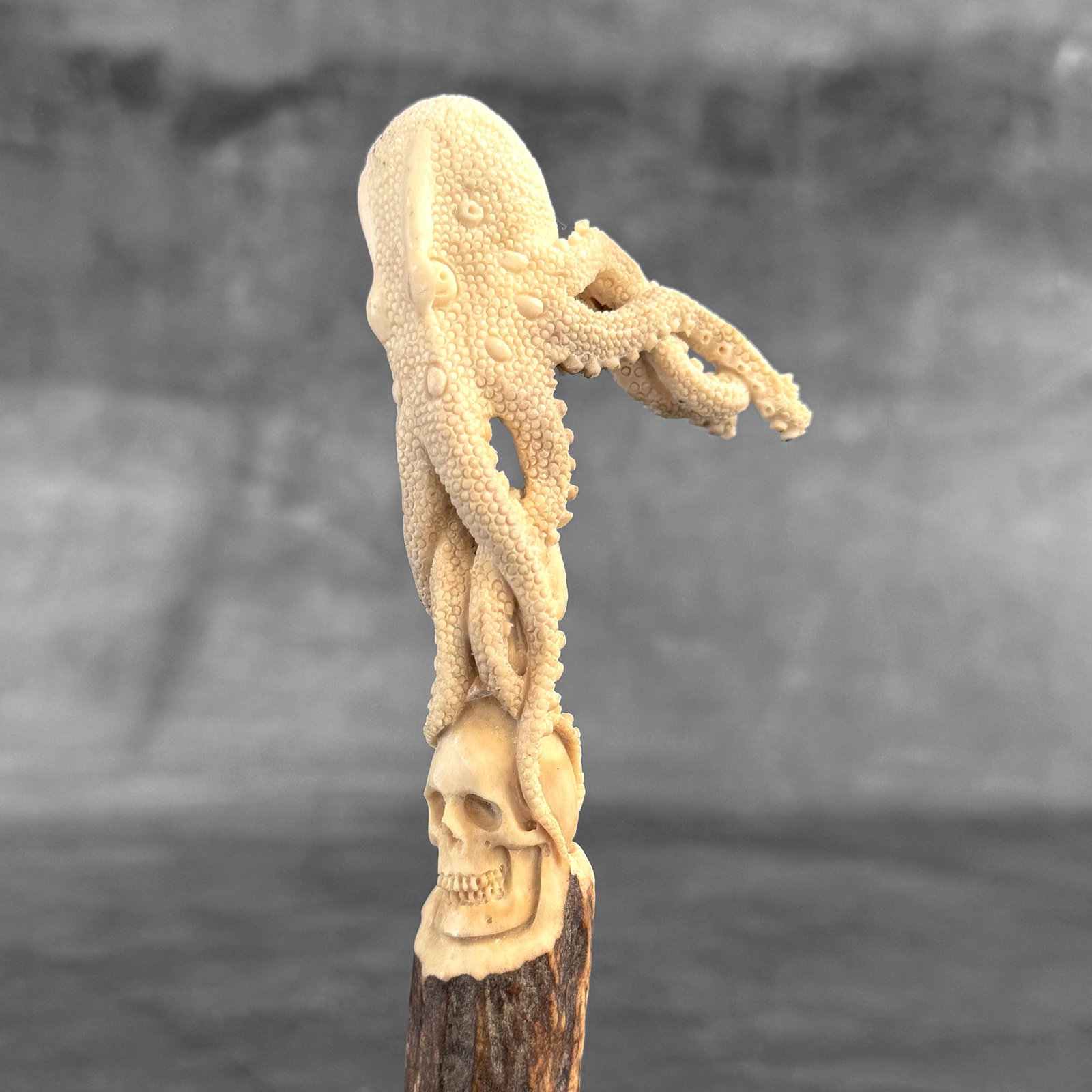 Stunning carved part of deer antler - Skull with an octopus - 4