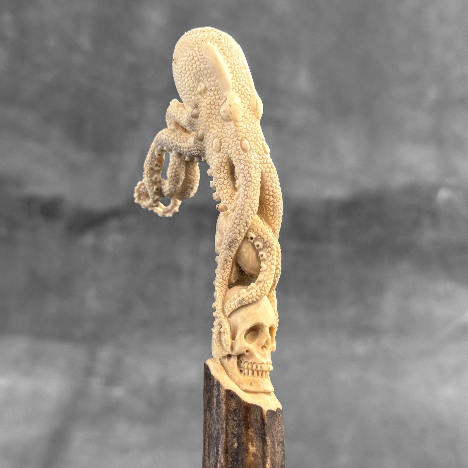 Stunning carved part of deer antler - Skull with an octopus - 6
