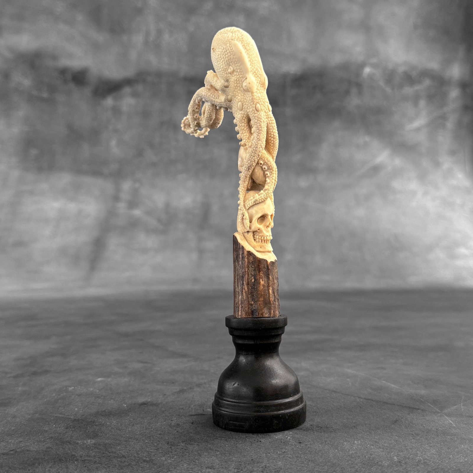 Stunning carved part of deer antler - Skull with an octopus - 7