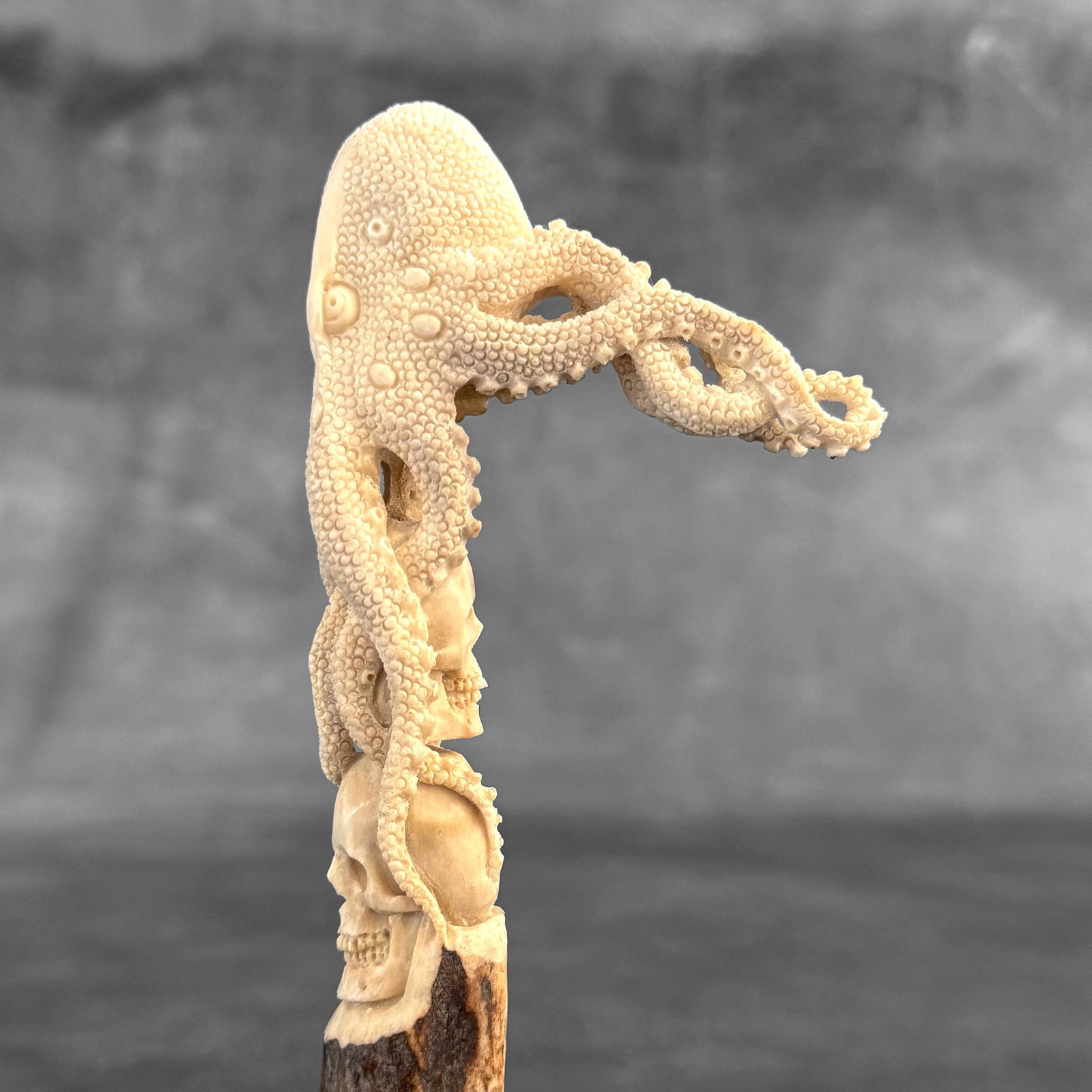 Stunning carved part of deer antler - Skull with an octopus - 8