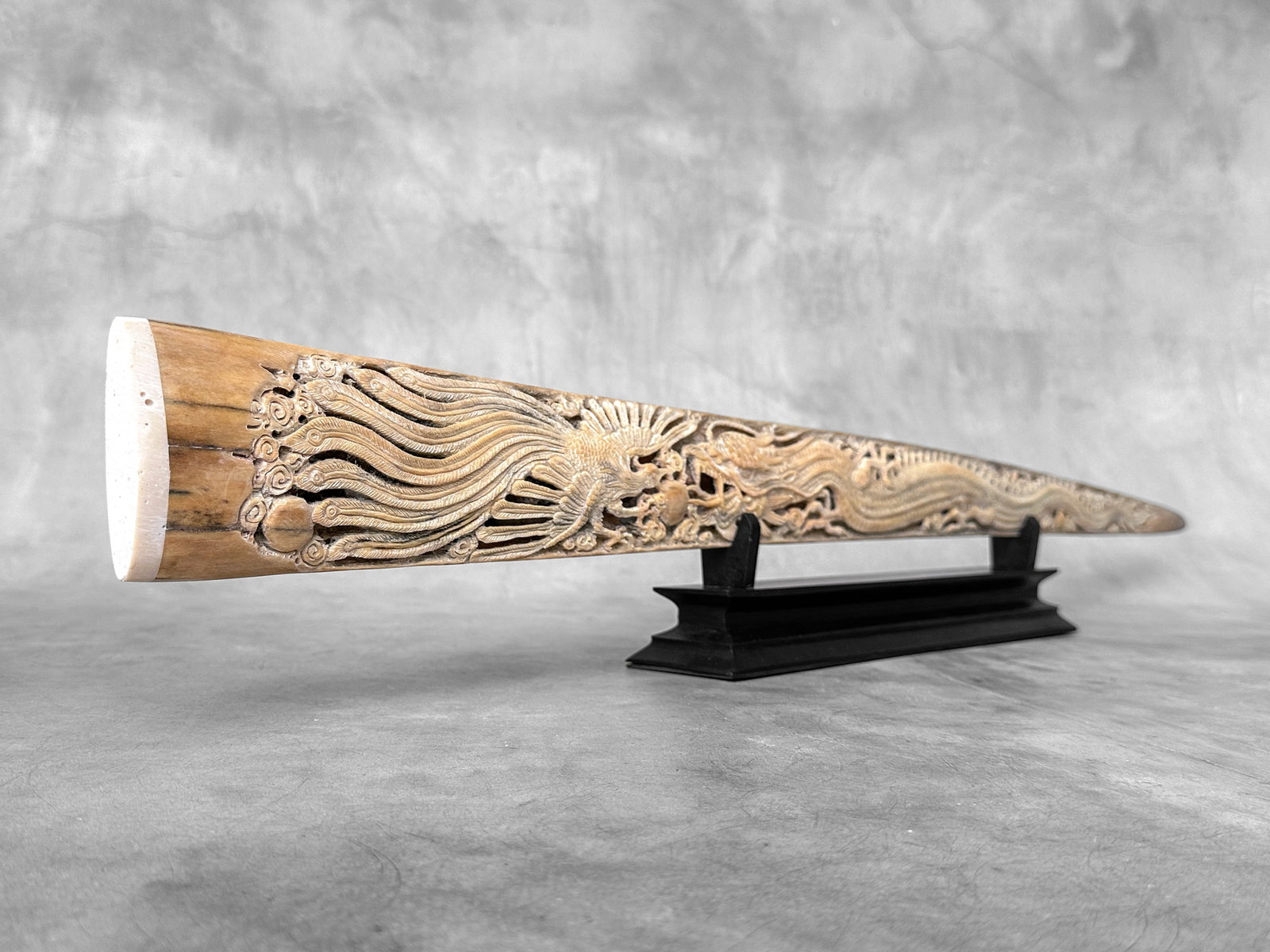 Impressive engraved swordfish rostrum - Dragon Phoenix motif - 4