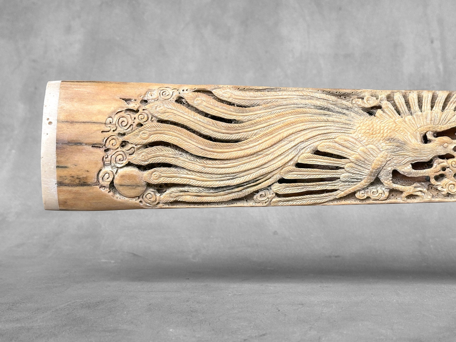 Impressive engraved swordfish rostrum - Dragon Phoenix motif - 5