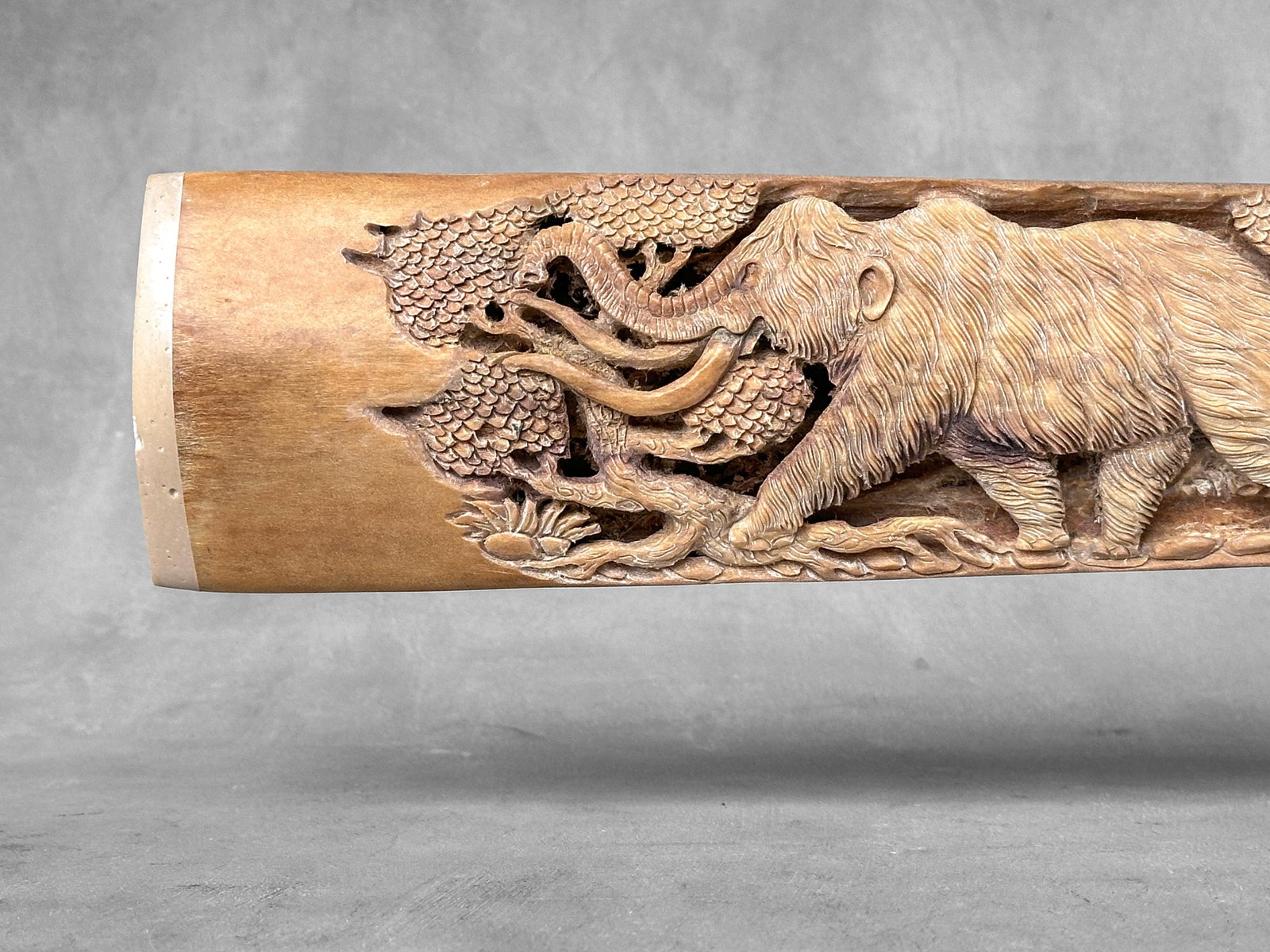 Extra large engraved Swordfish rostrum - Prehistoric Woolly Mammoth Scene - 5