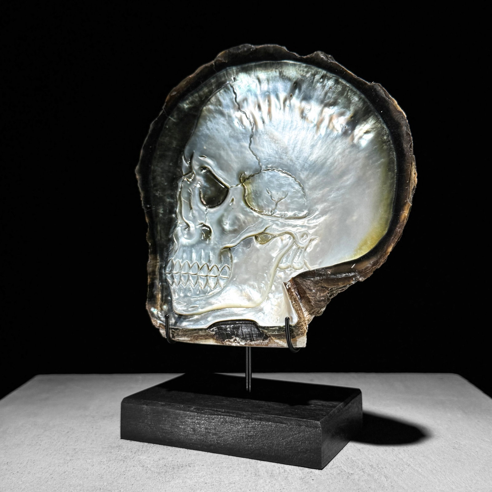 Engraved mother of pearl shell - Human skull motif - 7