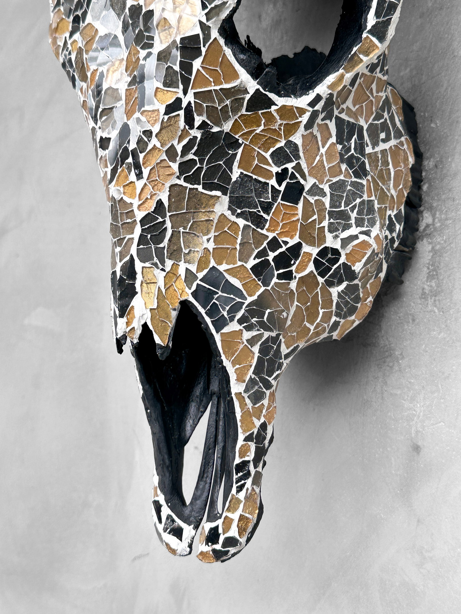 Striking cow skull with glass mozaic inlay - 8