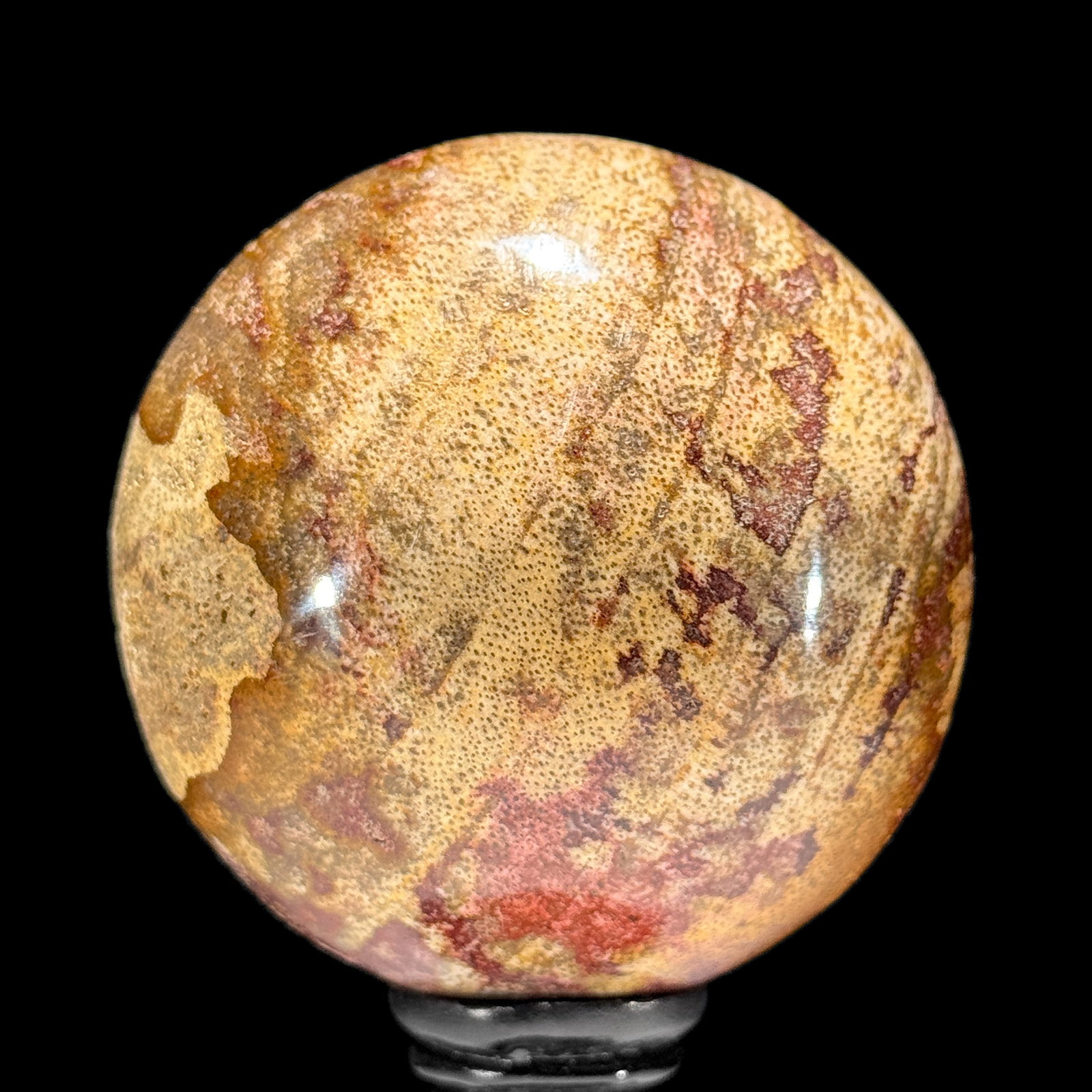 Stunning set of 3 Petrified wood spheres on stands - 2