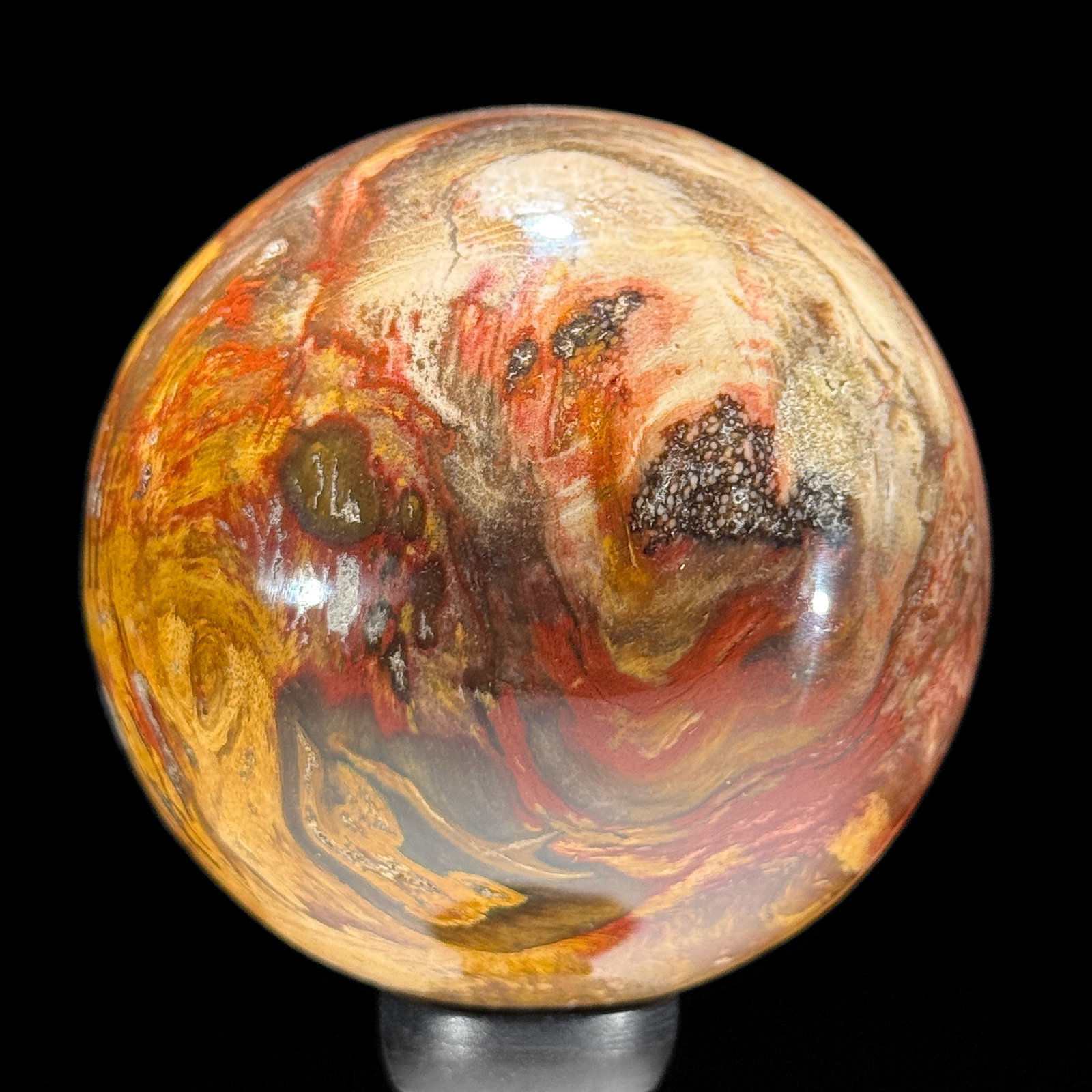 Stunning set of 3 Petrified wood spheres on stands - 7