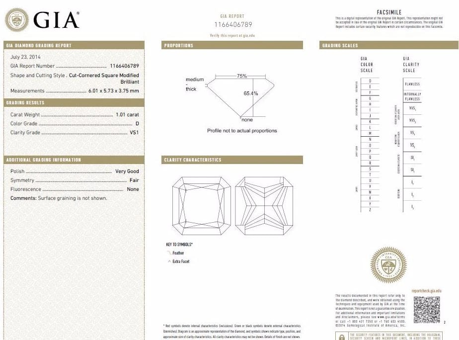 GIA Certified 1.01ct Princess cut natural diamond ring Cathedral Prime D/VS*v - 10