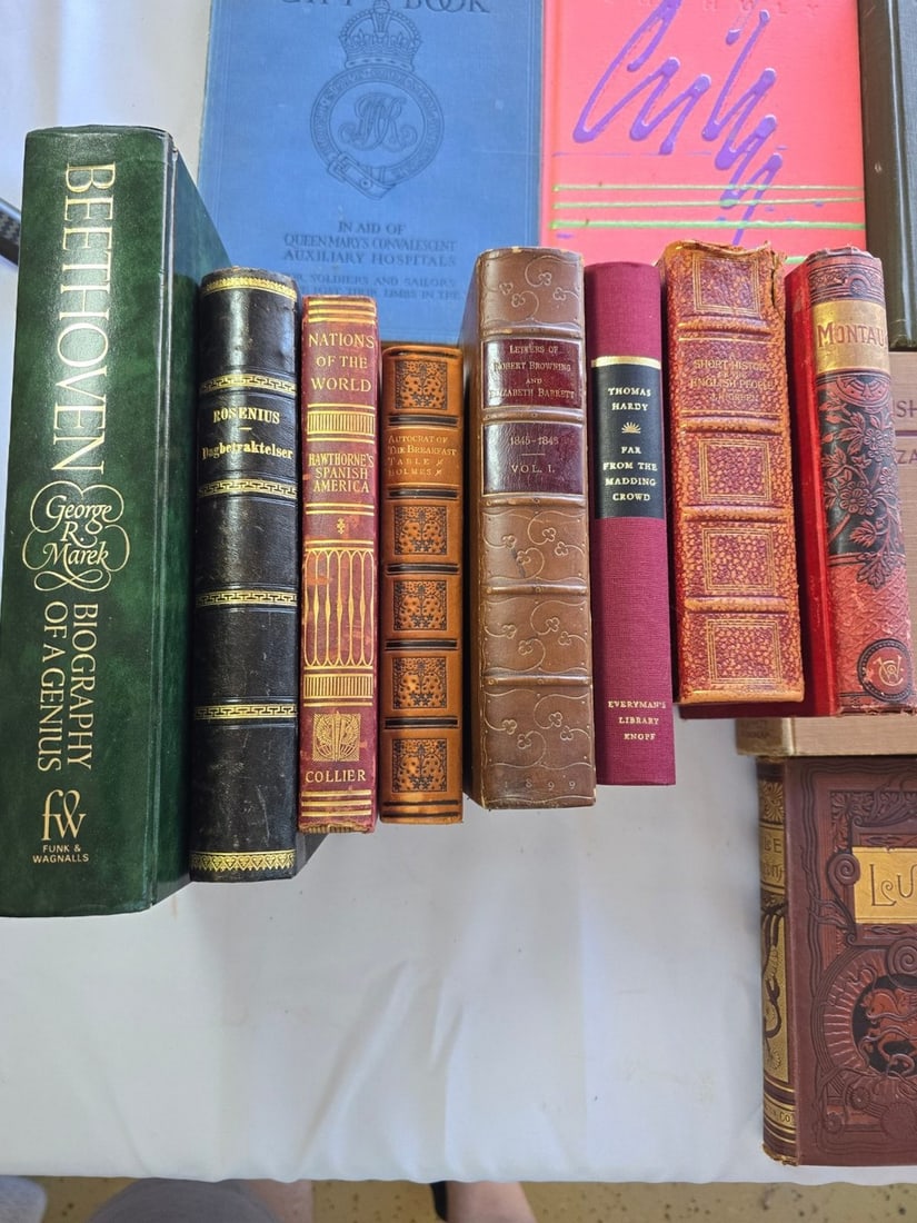 Collection of Antique and Vintage Books, various subjects - 2