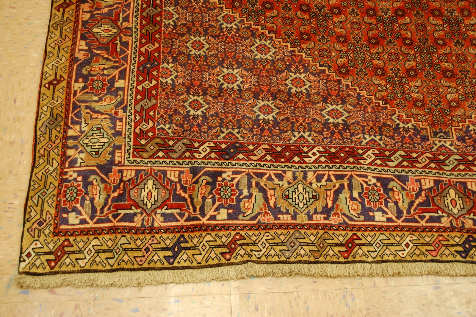 PERSIAN BIJAR RUG 6.9x10.5 - 3