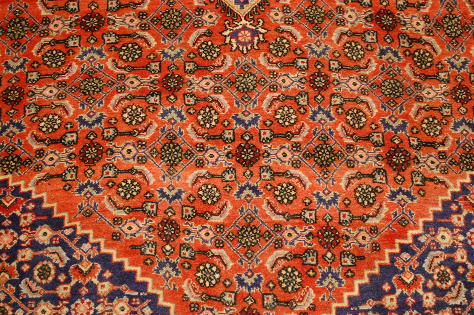 PERSIAN BIJAR RUG 5'1" x 8'10" - 4