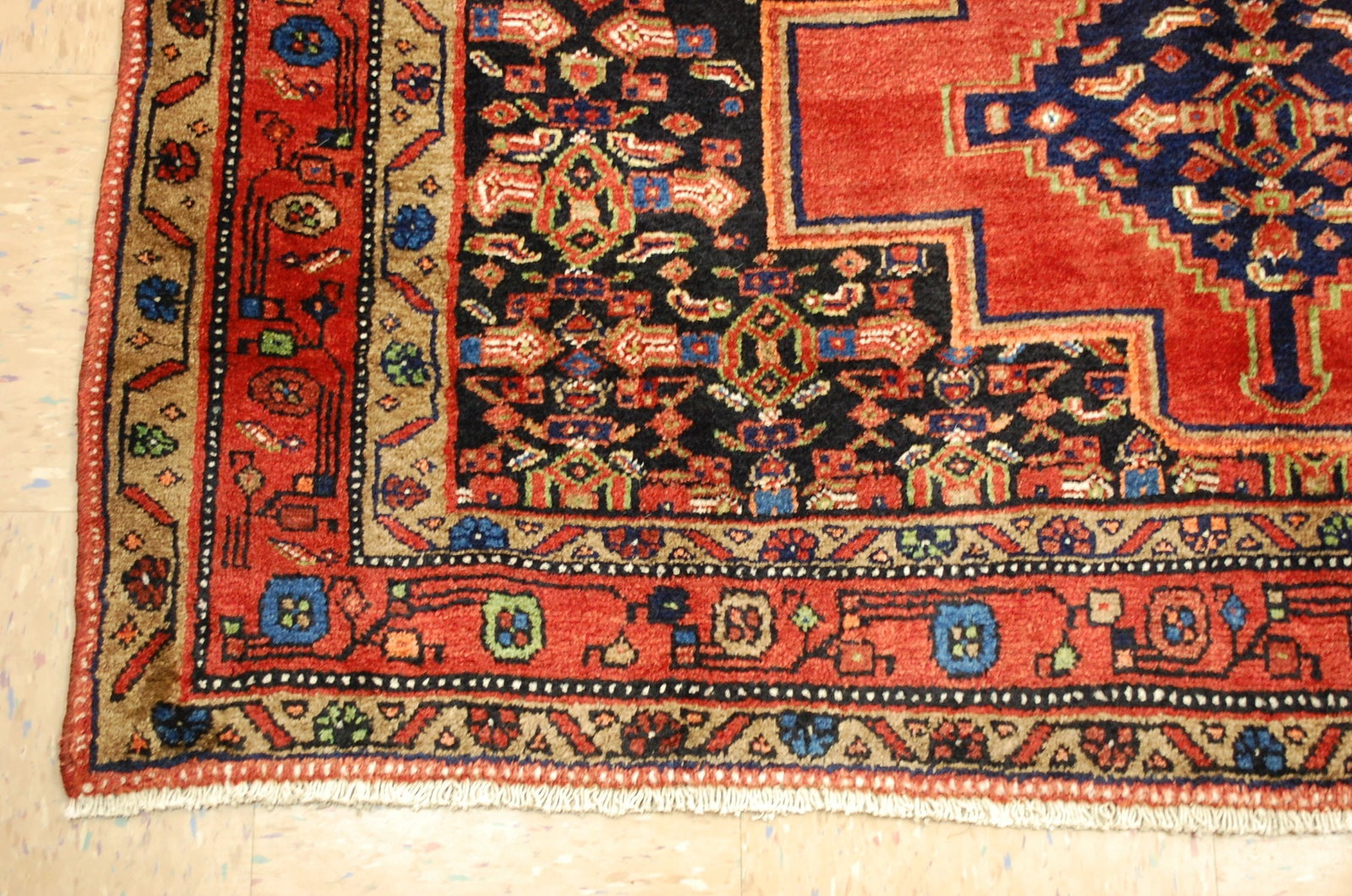 PERSIAN BIJAR RUG 5'2" x 9'10" - 3