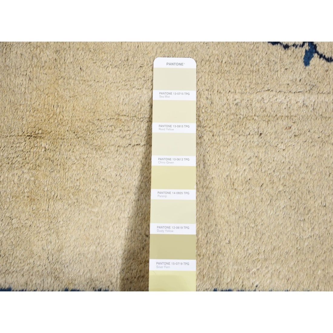 Cream Color, Antique Chinese Peking, Hand Knotted, Pure Wool Rug - 7
