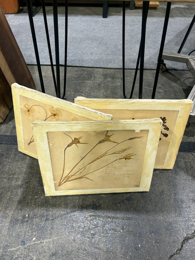 Set of Three Botanical Studies on Canvas Board - 2