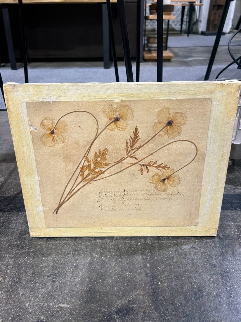 Set of Three Botanical Studies on Canvas Board - 5