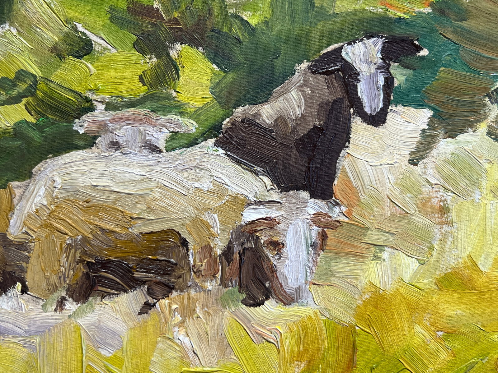 Oil painting with frame Sheep K. Leonid - 5