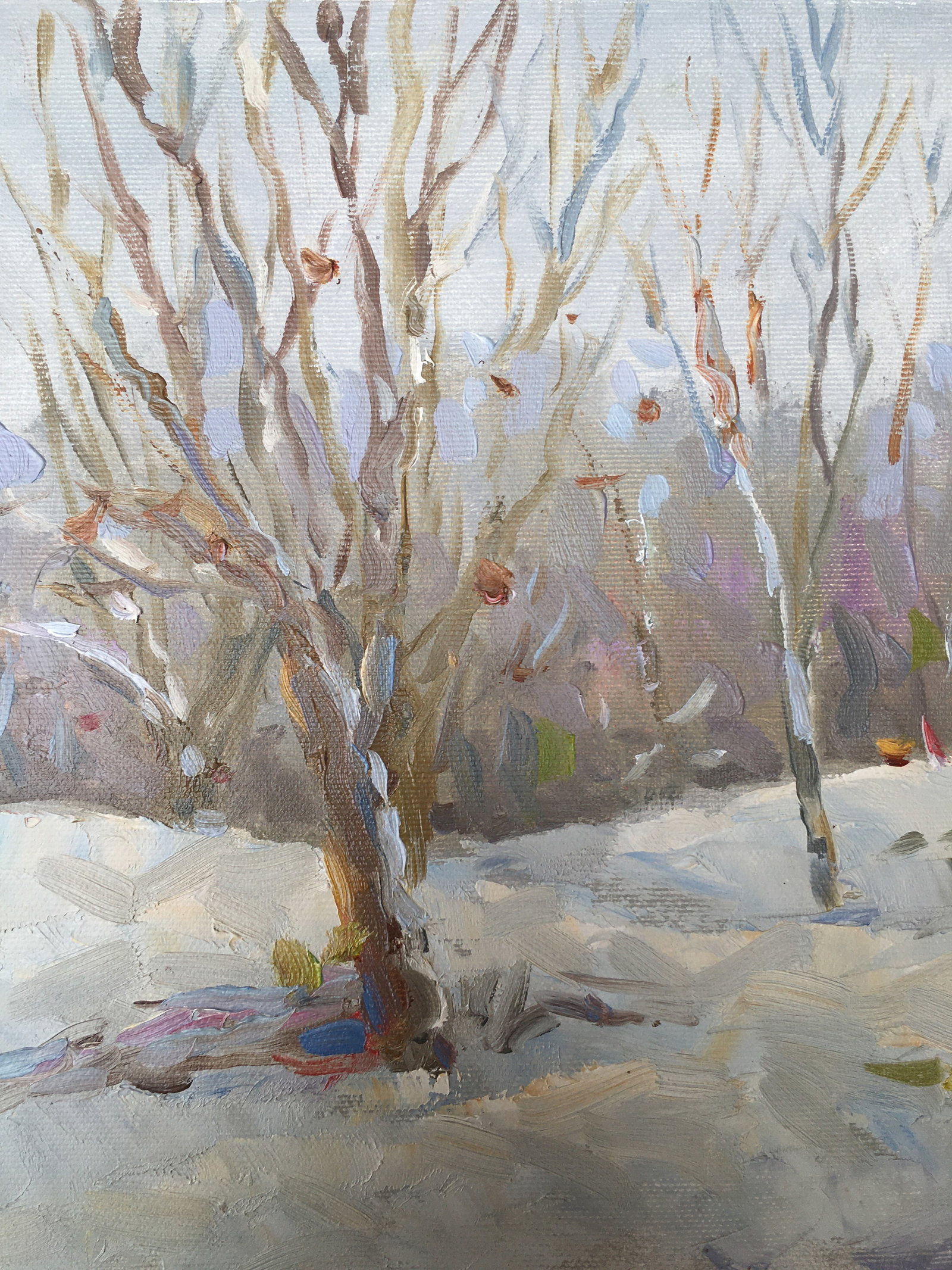 Oil painting Winter forest Sergey Ivanovich Animov - 6