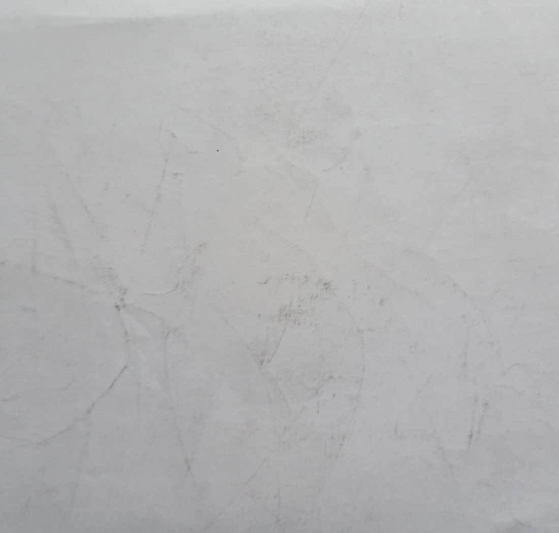 Abstract pencil painting Portrait of a naked girl Peter Tovpev - 4