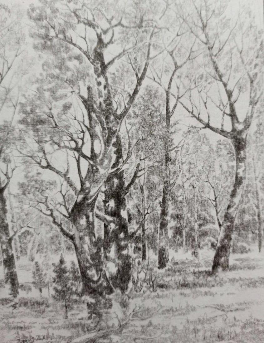 Pencil painting Forest landscape Peter Tovpev - 3
