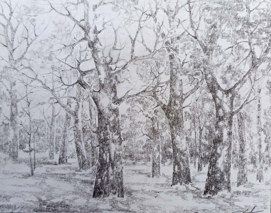 Pencil painting Autumn landscape Peter Tovpev: Title: Pencil painting Autumn landscape Peter Tovpev Description: No.Dobr 323 *** ABOUT THIS PAINTING *** * TITLE: "Autumn landscape" * ARTISTS: Peter Tovpev * SIZE: 18x23 cm/7.08x9.05 inches' * MEDIU