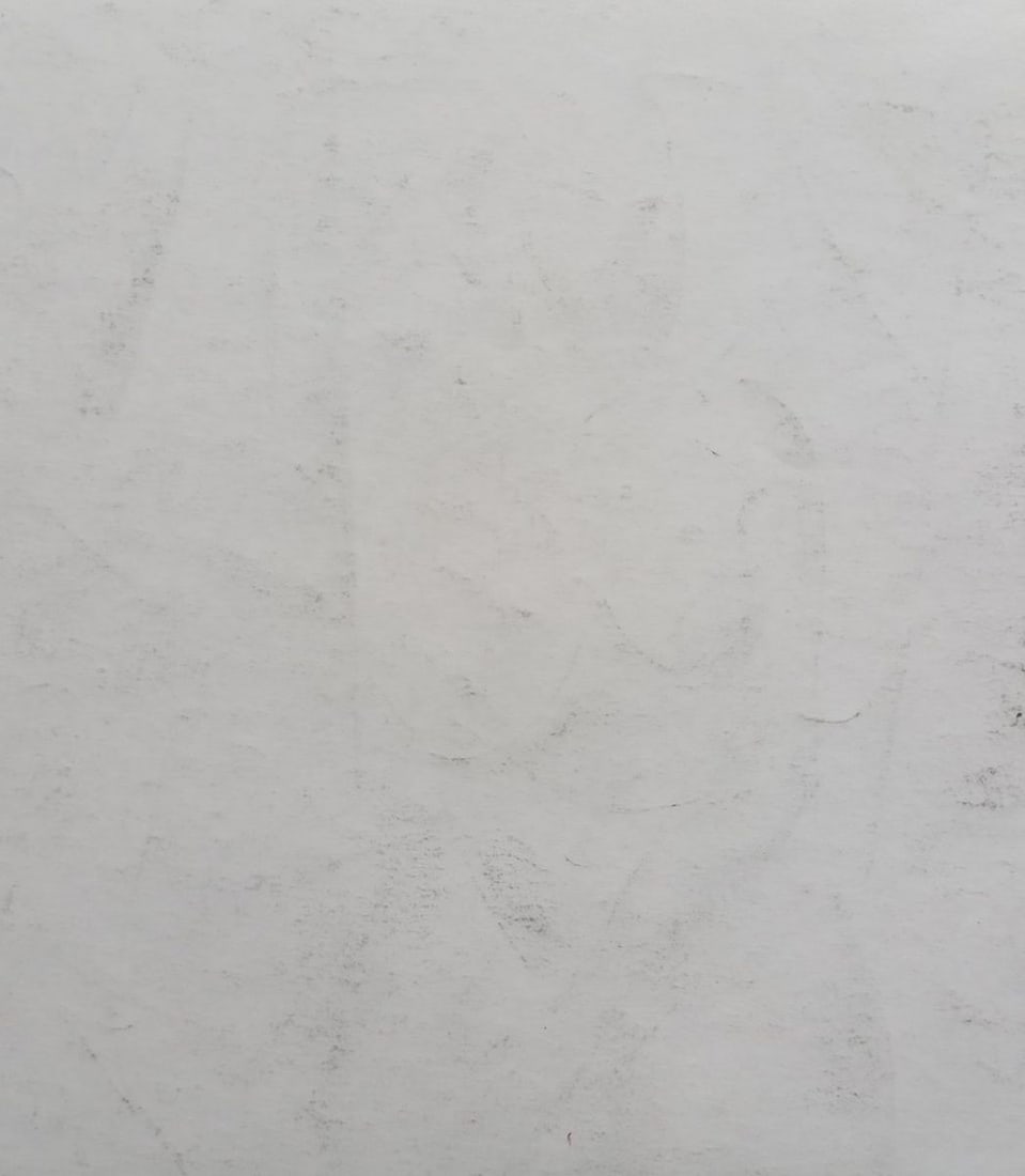 Abstract pencil painting Naked girl Peter Tovpev - 4