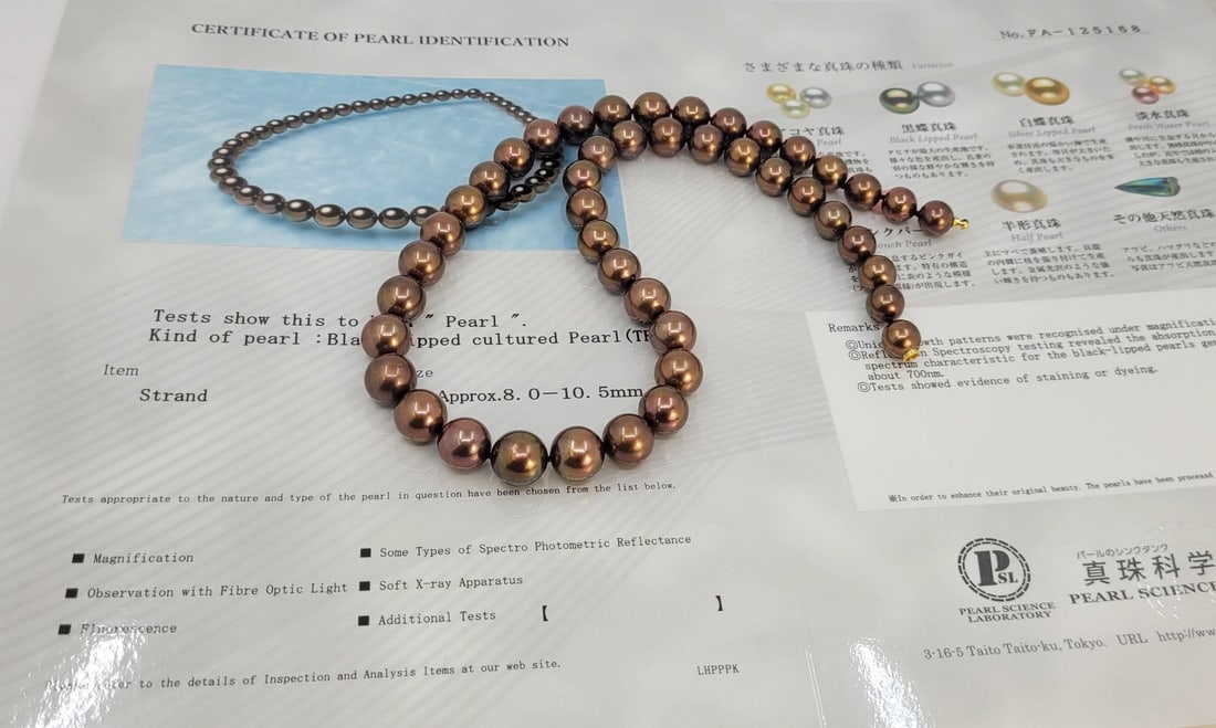 Necklace - 14 kt. Yellow gold, PSL Certified Chocolate Tahitian Pearls - 8.0x10.5mm - 12