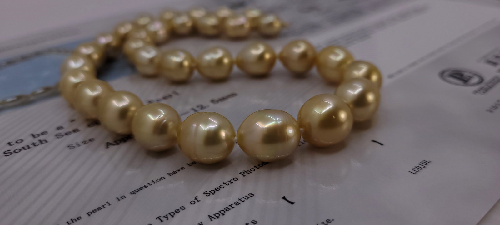 Necklace PSL Certified Deep Golden South Sea Pearls - 10.0x12.5mm - 10