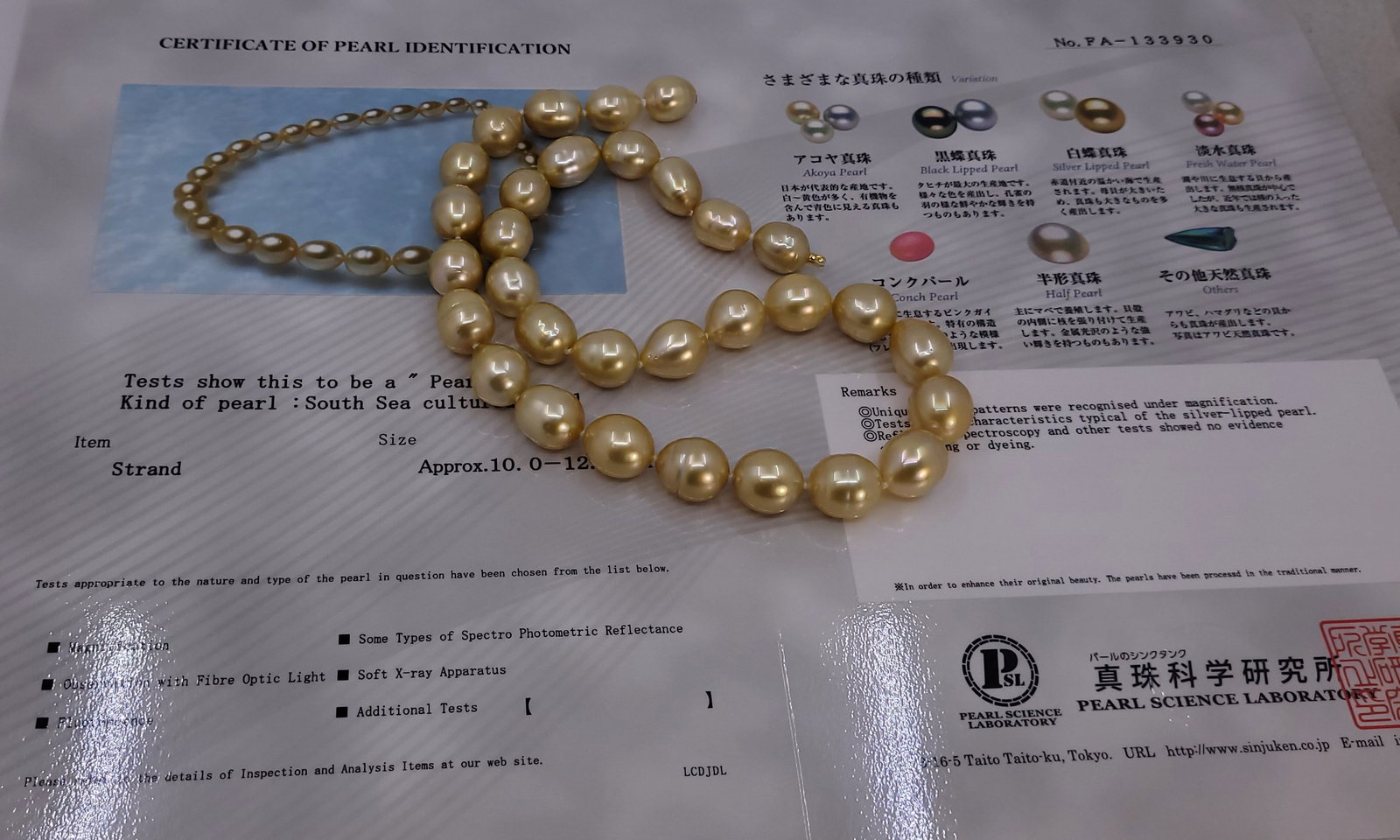 Necklace PSL Certified Deep Golden South Sea Pearls - 10.0x12.5mm - 12
