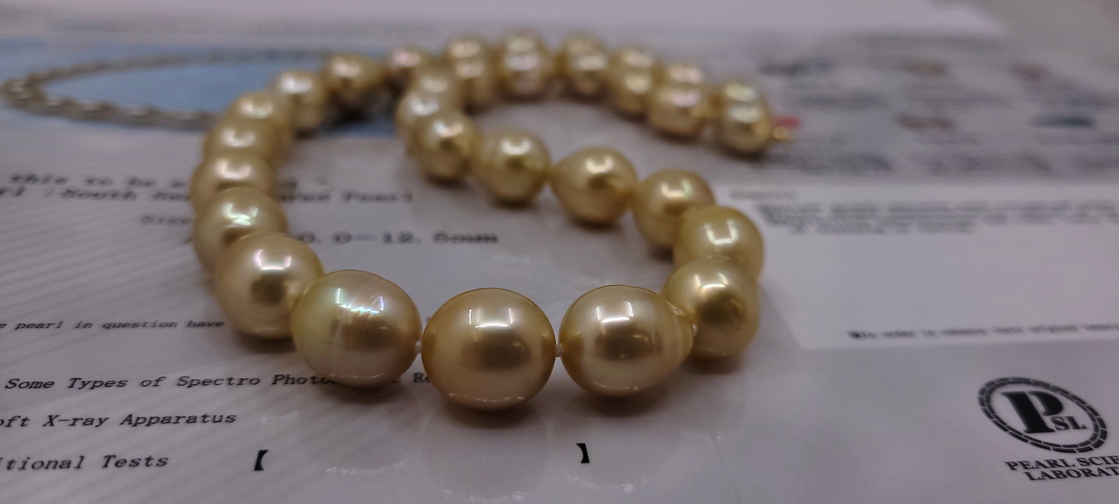 Necklace PSL Certified Deep Golden South Sea Pearls - 10.0x12.5mm - 9