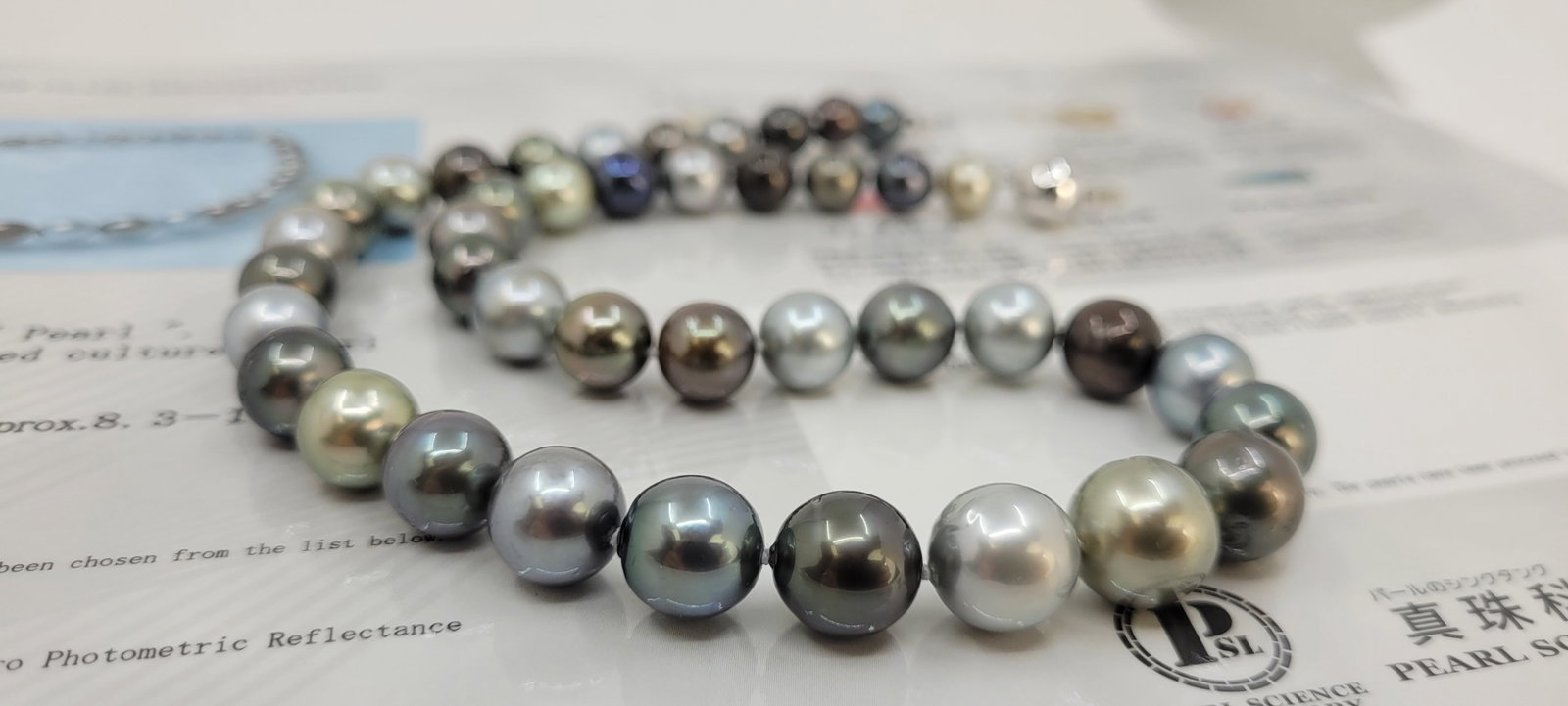Necklace PSL Certified Tahitian Pearls - 8.3x11.7mm - 12