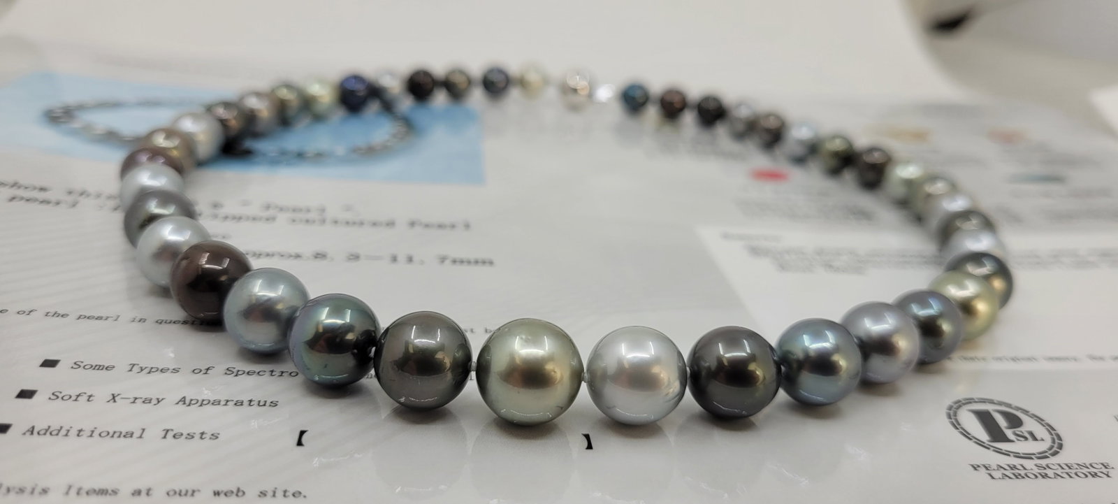 Necklace PSL Certified Tahitian Pearls - 8.3x11.7mm - 13