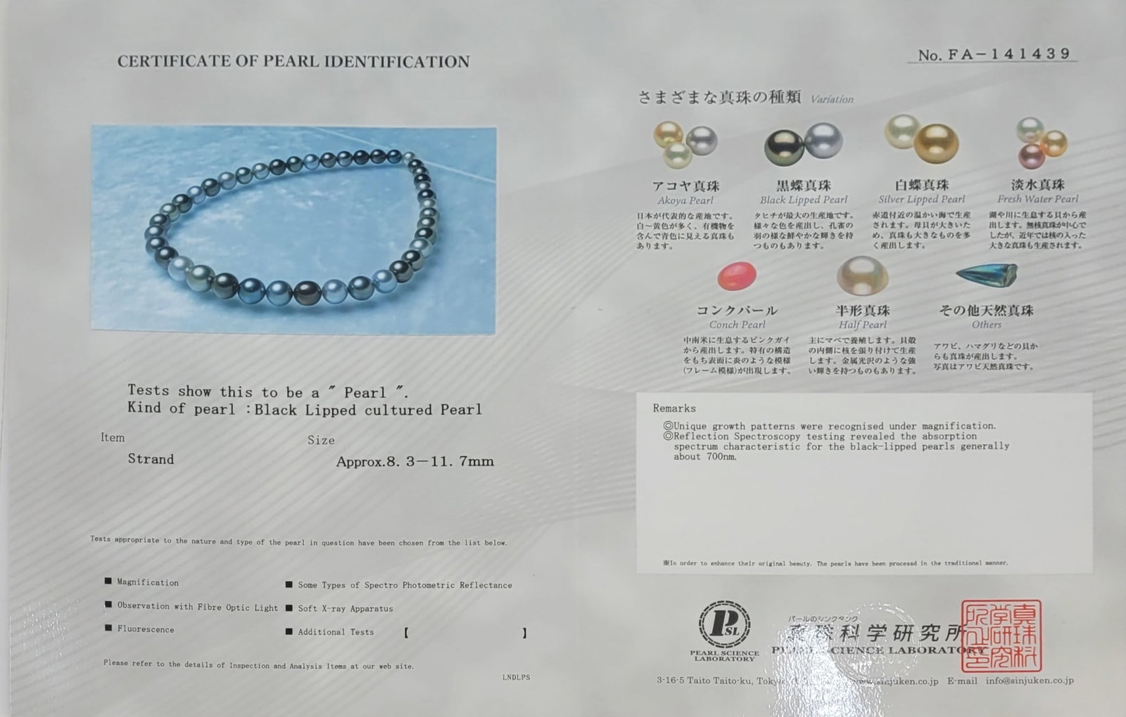 Necklace PSL Certified Tahitian Pearls - 8.3x11.7mm - 8