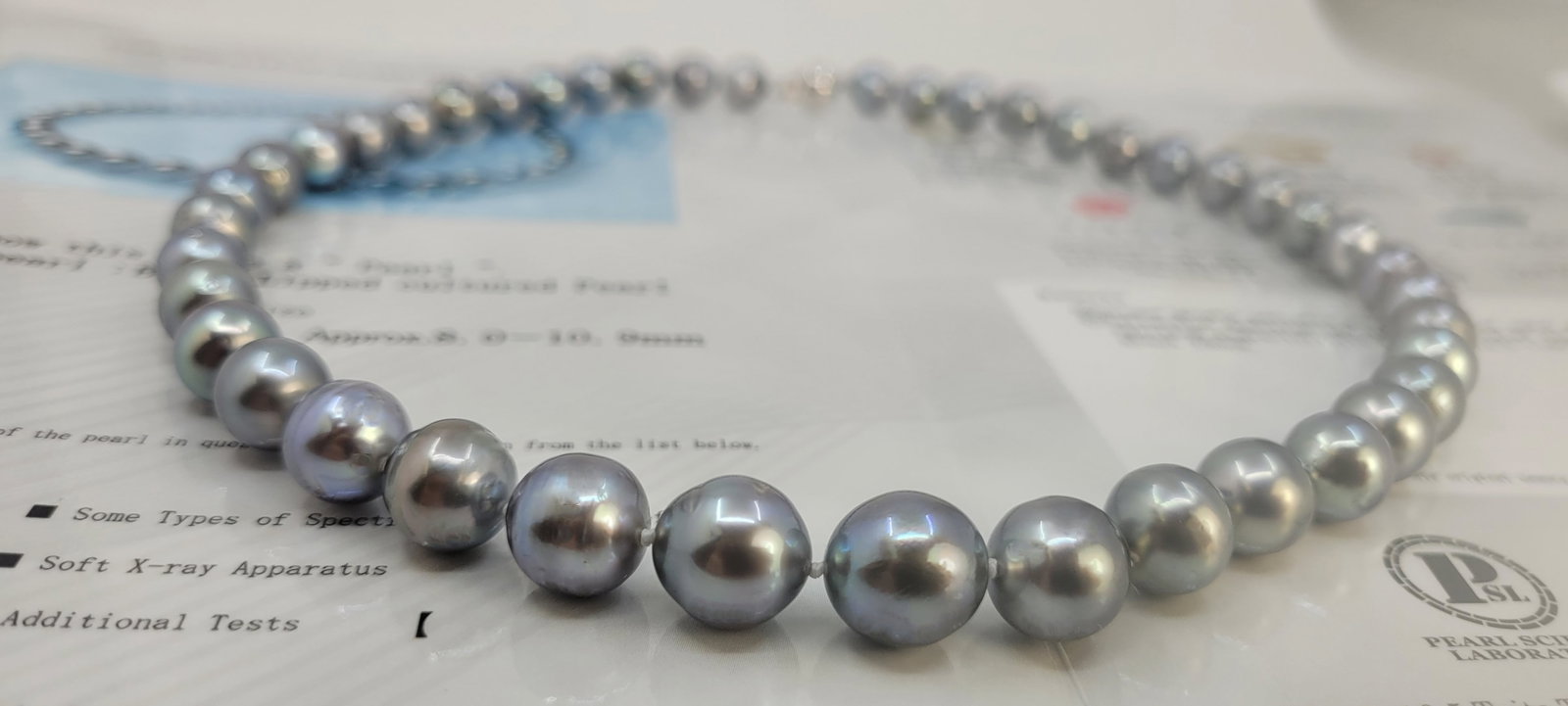 Necklace PSL Certified Tahitian Pearls - 8.0x10.9mm - 6