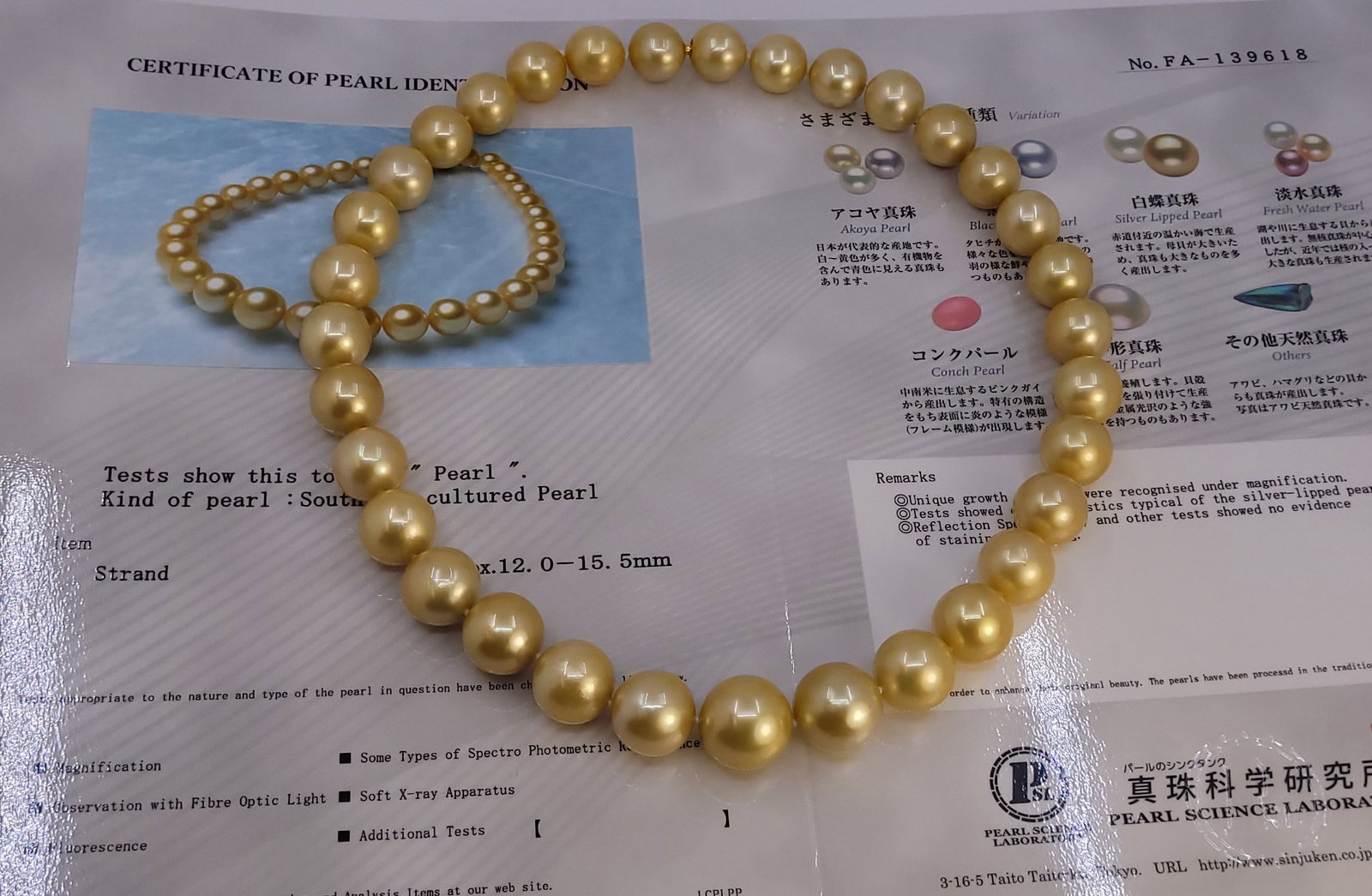 Necklace PSL Certified Australian Deep Golden South Sea Pearls - Huge Size - 12.0x15.5mm - 10