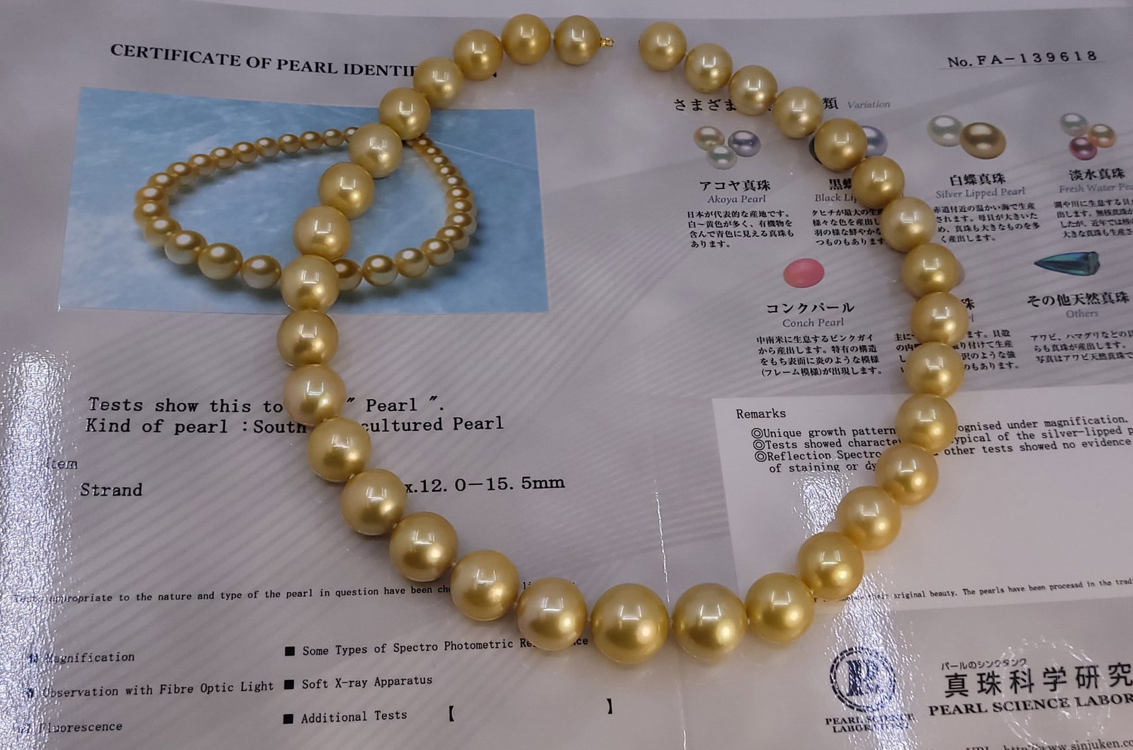 Necklace PSL Certified Australian Deep Golden South Sea Pearls - Huge Size - 12.0x15.5mm - 11