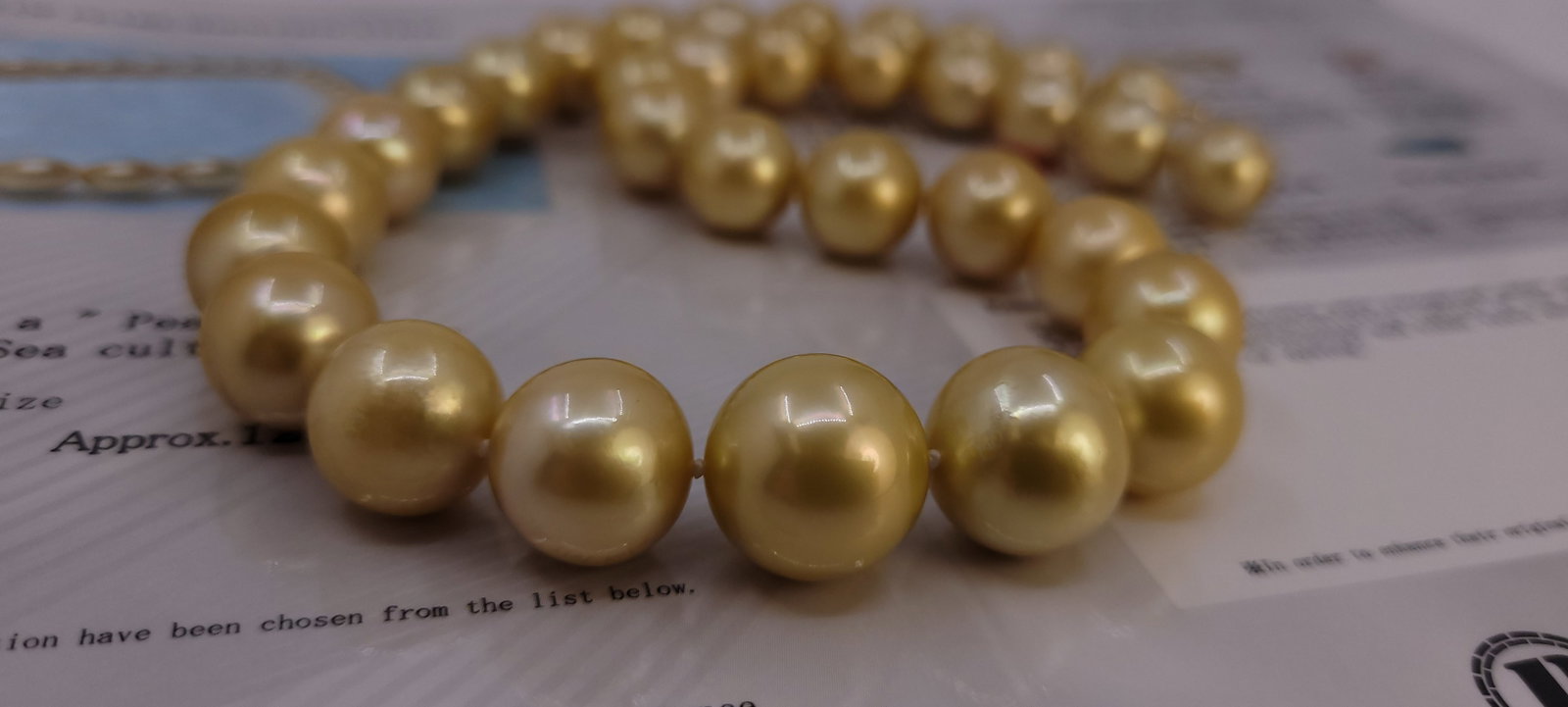 Necklace PSL Certified Australian Deep Golden South Sea Pearls - Huge Size - 12.0x15.5mm - 12