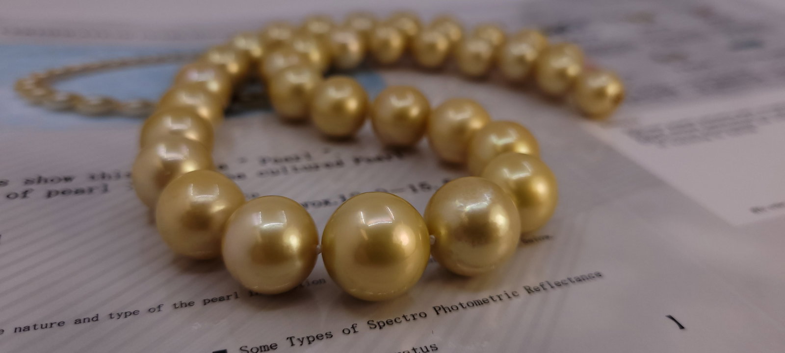 Necklace PSL Certified Australian Deep Golden South Sea Pearls - Huge Size - 12.0x15.5mm - 14