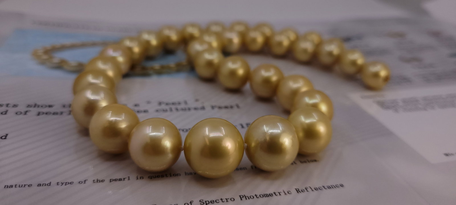 Necklace PSL Certified Australian Deep Golden South Sea Pearls - Huge Size - 12.0x15.5mm - 15