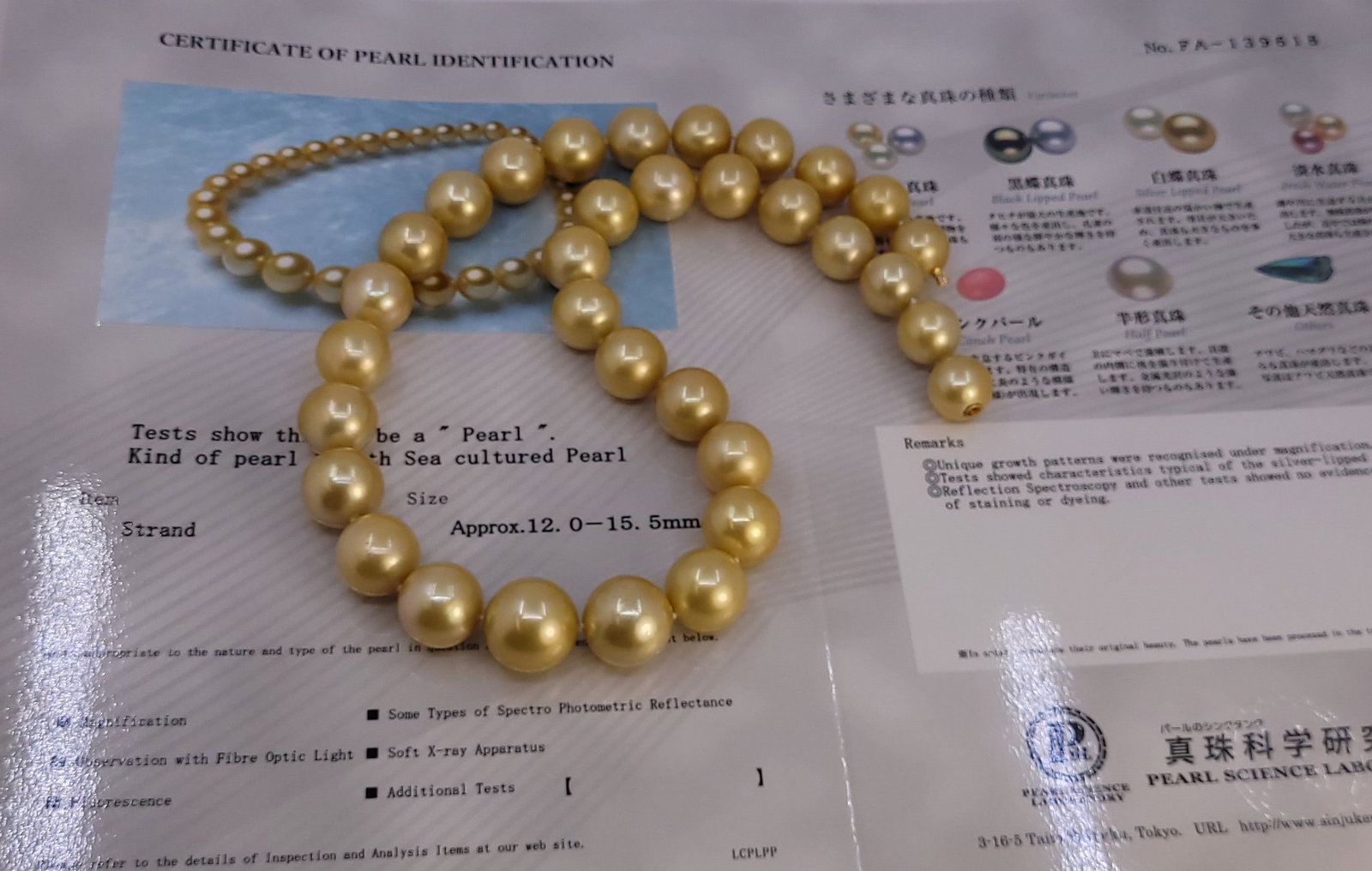Necklace PSL Certified Australian Deep Golden South Sea Pearls - Huge Size - 12.0x15.5mm - 16