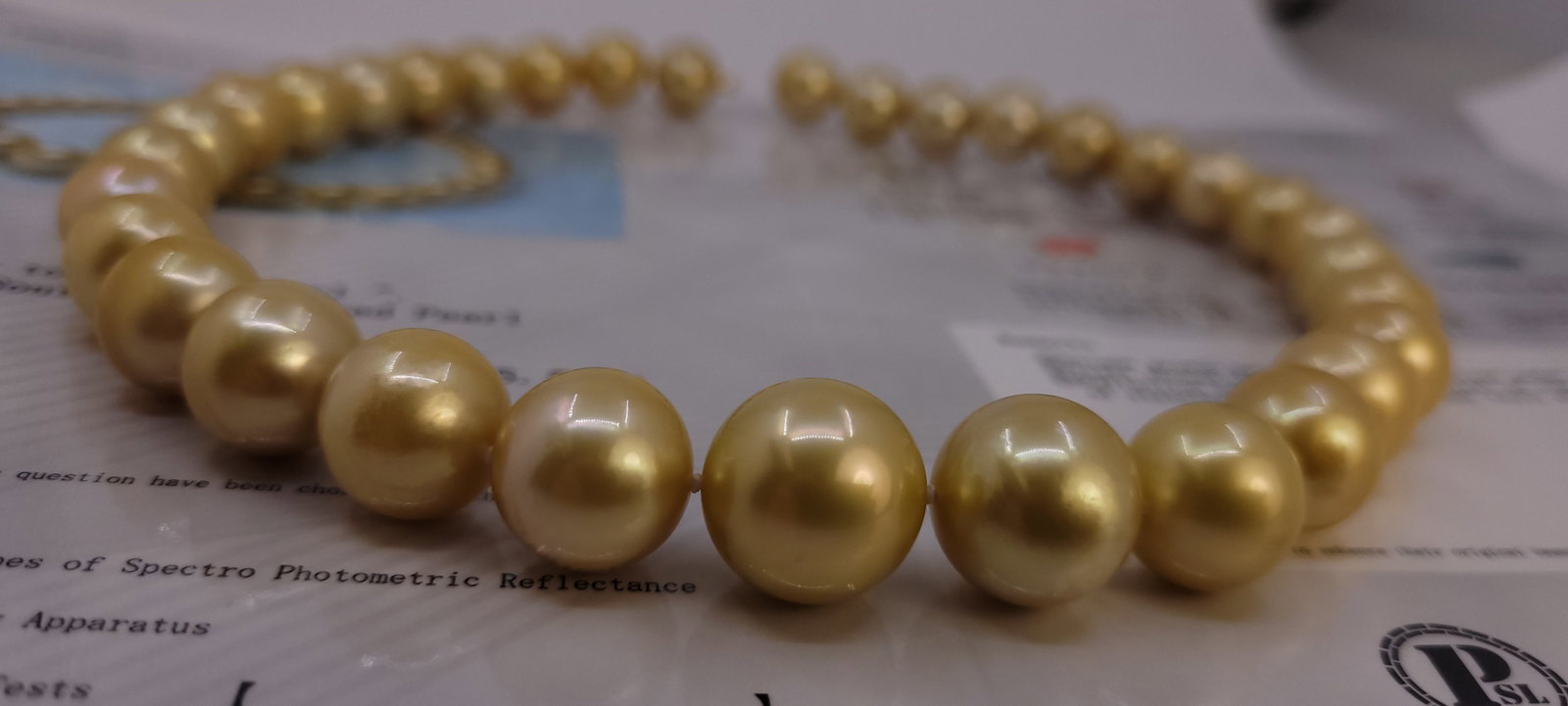 Necklace PSL Certified Australian Deep Golden South Sea Pearls - Huge Size - 12.0x15.5mm - 17