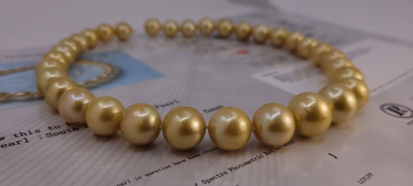 Necklace PSL Certified Australian Deep Golden South Sea Pearls - Huge Size - 12.0x15.5mm - 18